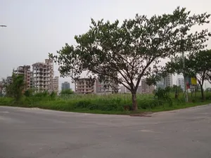 10 Katha South-Facing Plot in Bashundhara N Block – Limited Time Special Opportunity!