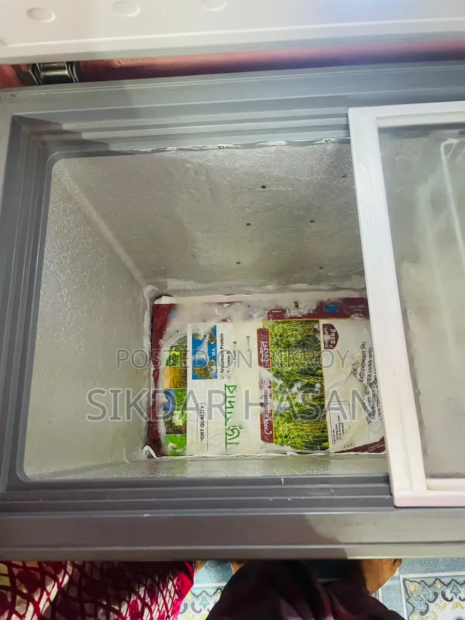 (Singer Freege)