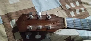 Kabat Guitar Brown Colour