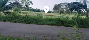 বিলের মাঝে রোড় নাই চাষের জমি ( ৫) গন্ডা