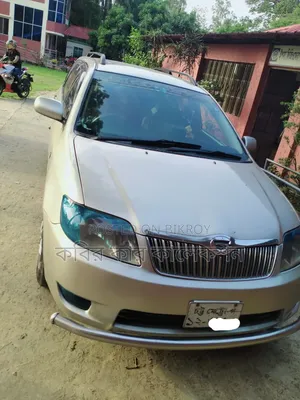 Toyota Corolla Fielder 2004 Beige