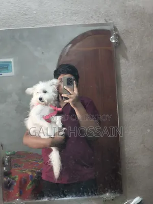 ১+ বছরের নারী খাঁটি লসা আপসো