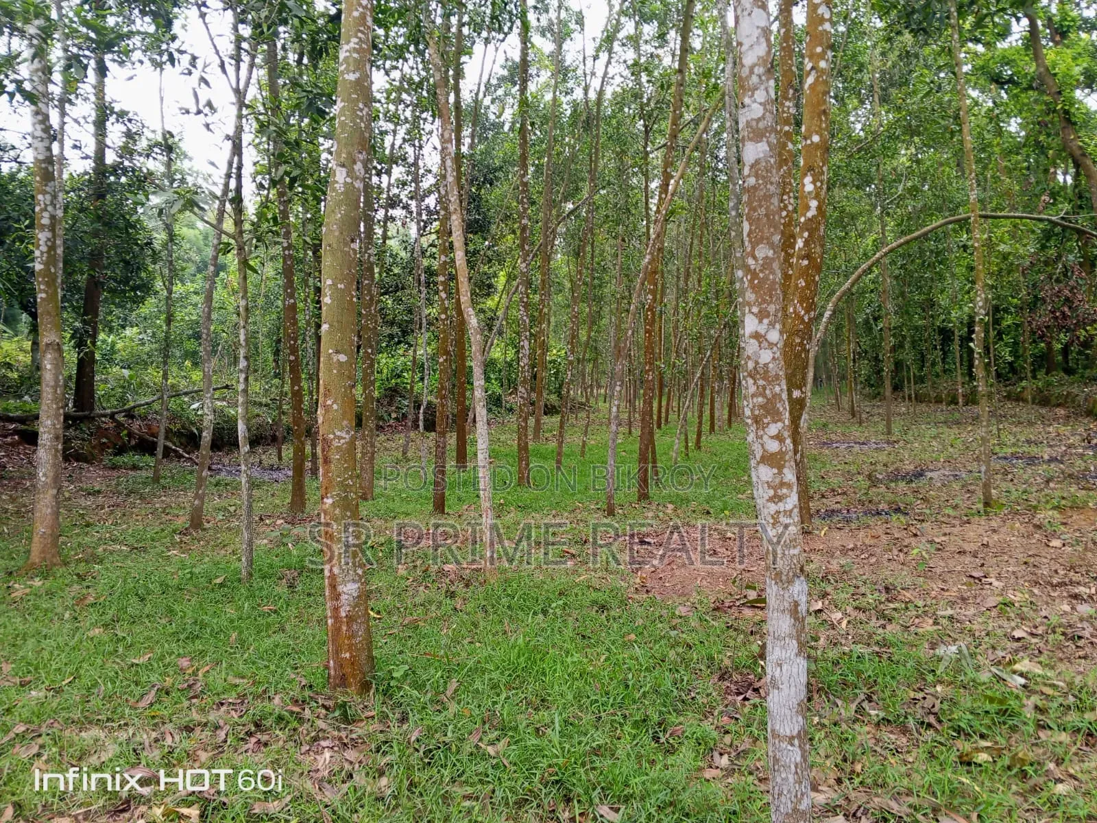127 Decimal Land with Garden Beside 20 Feet Road - Kaliakair, Jathila