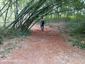 127 Decimal Land with Garden Beside 20 Feet Road - Kaliakair, Jathila