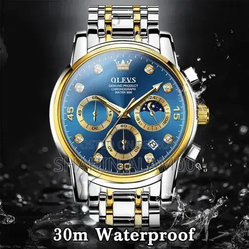 Olevs 2889 Quartz
