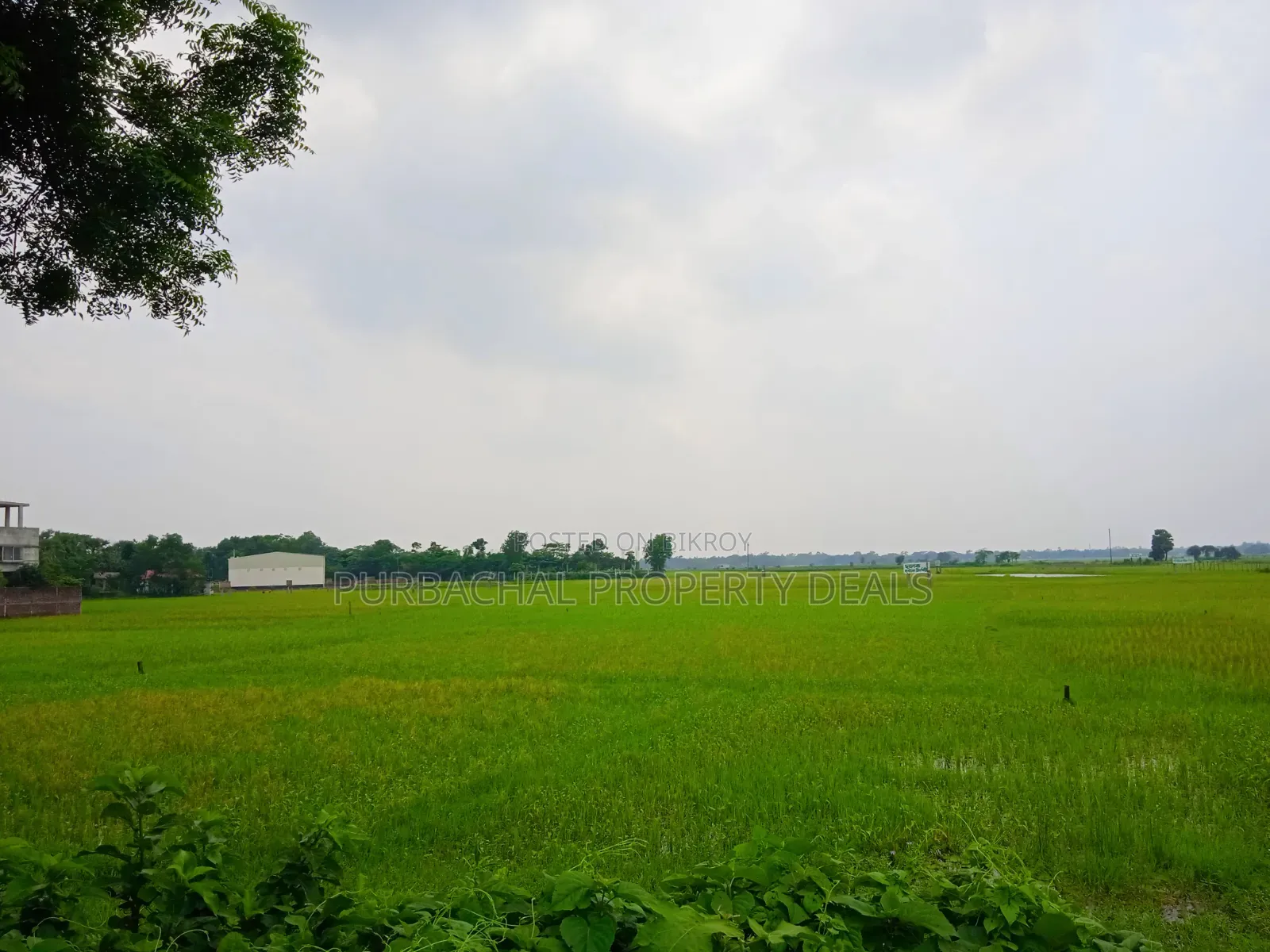 Huge Land for Sale for Mega Housing/Residential Project Adjacent to Purbachal