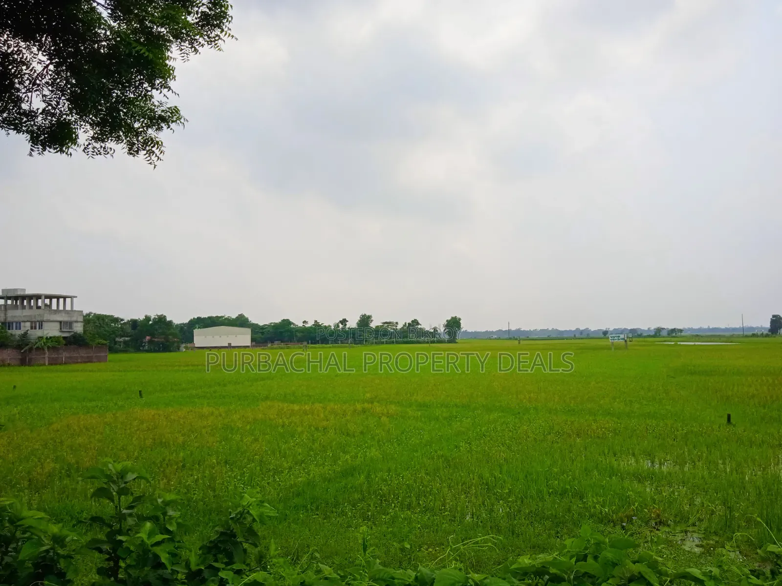 Huge Land for Sale for Mega Housing/Residential Project Adjacent to Purbachal