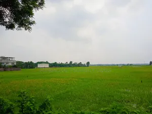 Huge Land for Sale for Mega Housing/Residential Project Adjacent to Purbachal