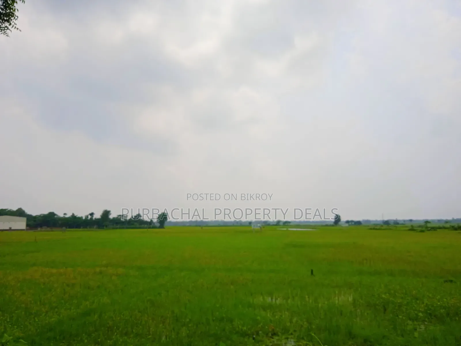 Huge Land for Sale for Mega Housing/Residential Project Adjacent to Purbachal