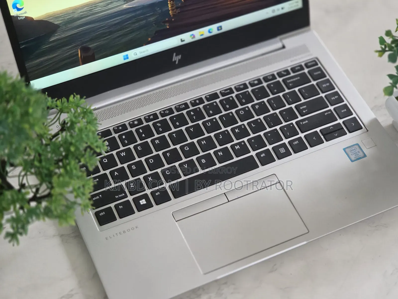 Laptop HP EliteBook 840 G6 8GB Intel Core I5 SSD 256GB