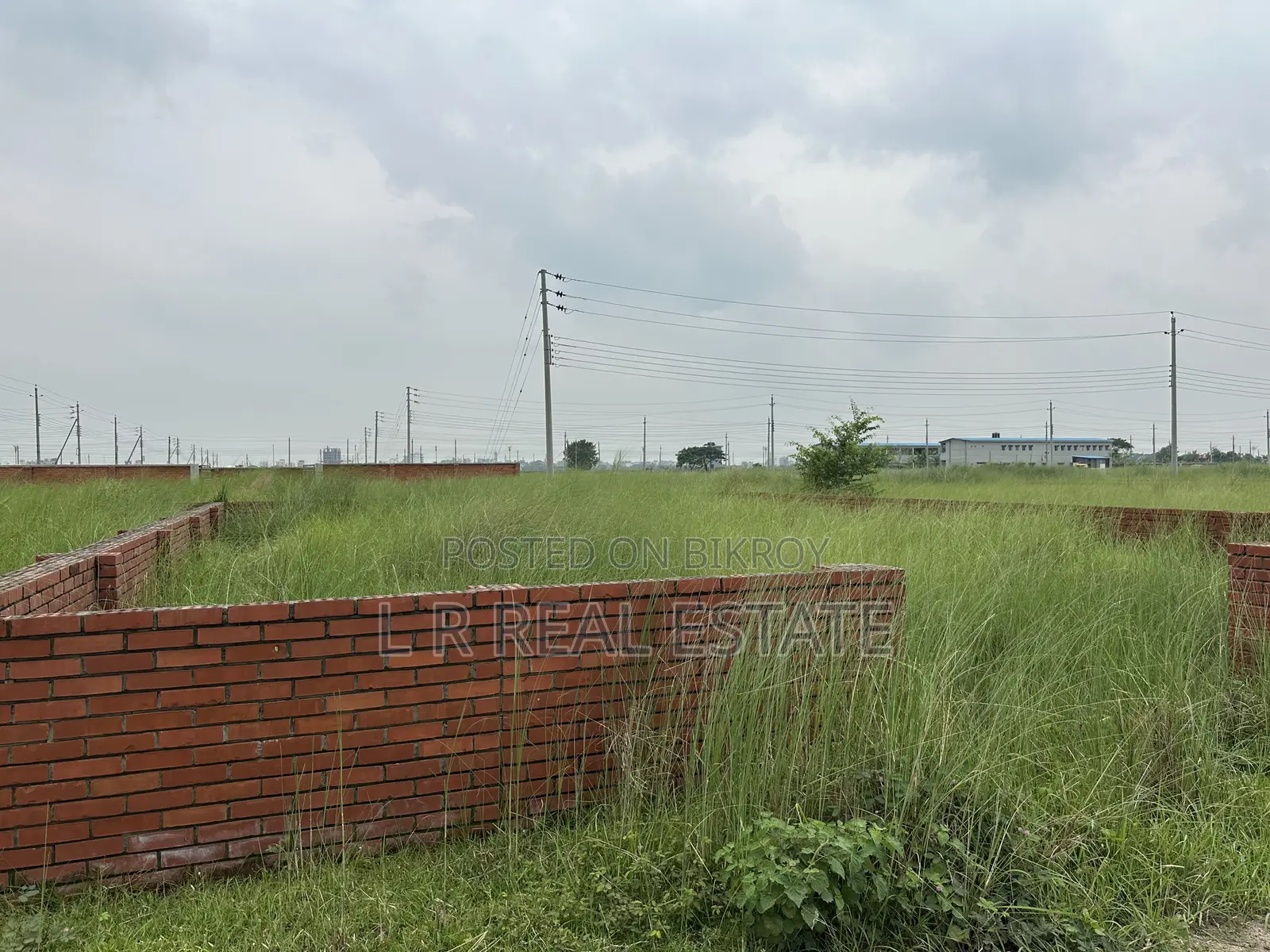 Block-P, 3-Katha, South-Facing, Plot Urgent Sale for Bashundhara R/A