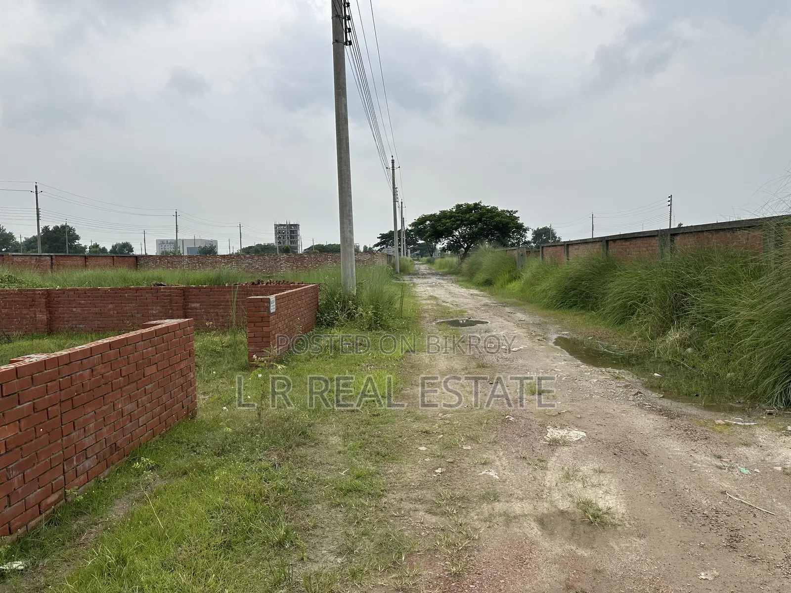 Block-P, 3-Katha, South-Facing, Plot Urgent Sale for Bashundhara R/A