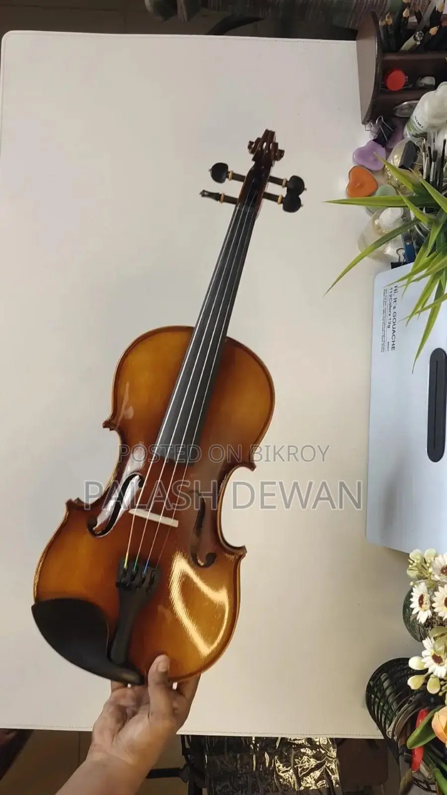 Violin