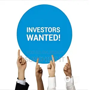 Investor Wanted For Software/IT Business