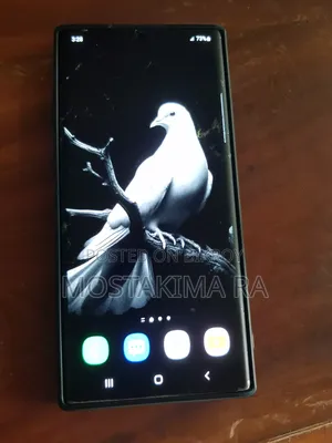 Samsung Galaxy Note 10 Plus 256 GB Blue