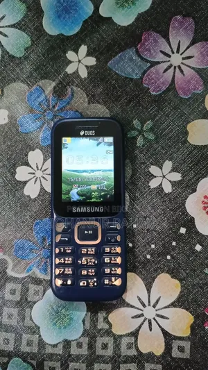 Samsung Guru Music 2 Blue
