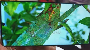 স্যামসাং গ্যালাক্সি নোট ১০ প্লাস ৫জি ২৫৬ জিবি