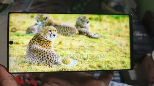 স্যামসাং গ্যালাক্সি নোট ১০ প্লাস ৫জি ২৫৬ জিবি