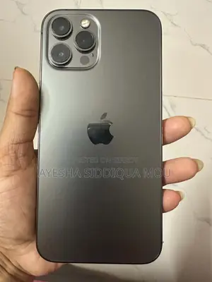 Apple iPhone 12 Pro Max 512 GB Gray