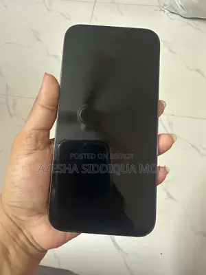 Apple iPhone 12 Pro Max 512 GB Gray