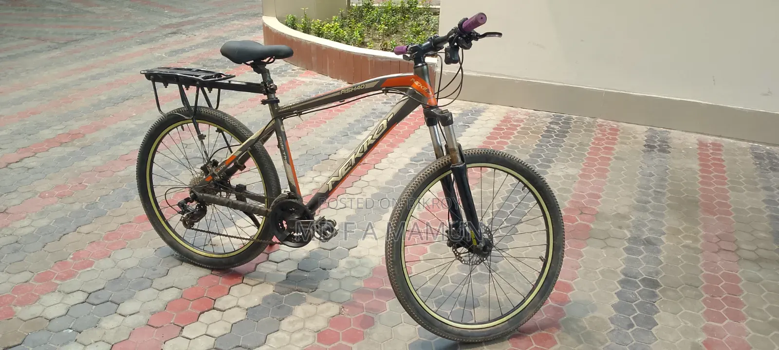 Mountain Bike
