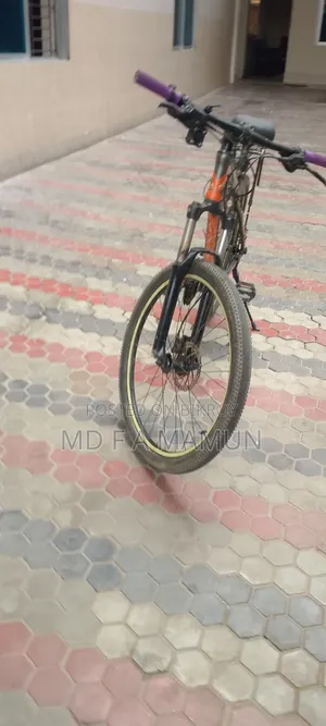 Mountain Bike