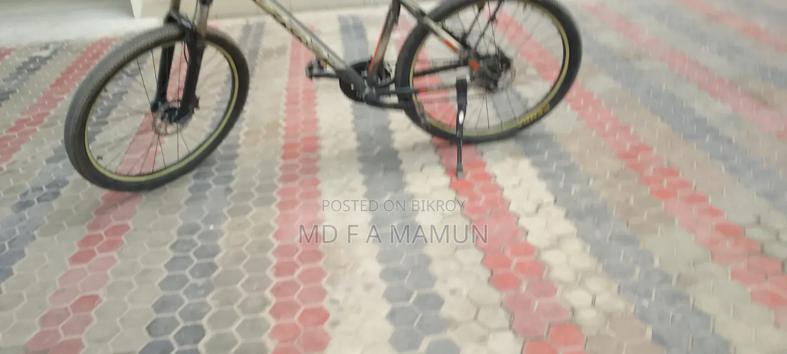 Mountain Bike