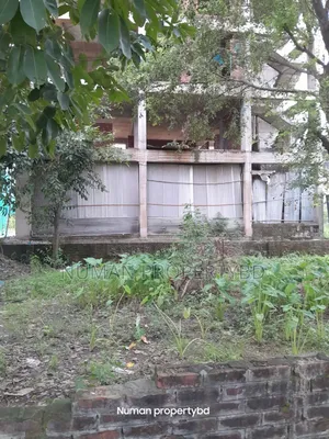 10 Katha South-facing Bashundhara Residential Area Plot for Sale