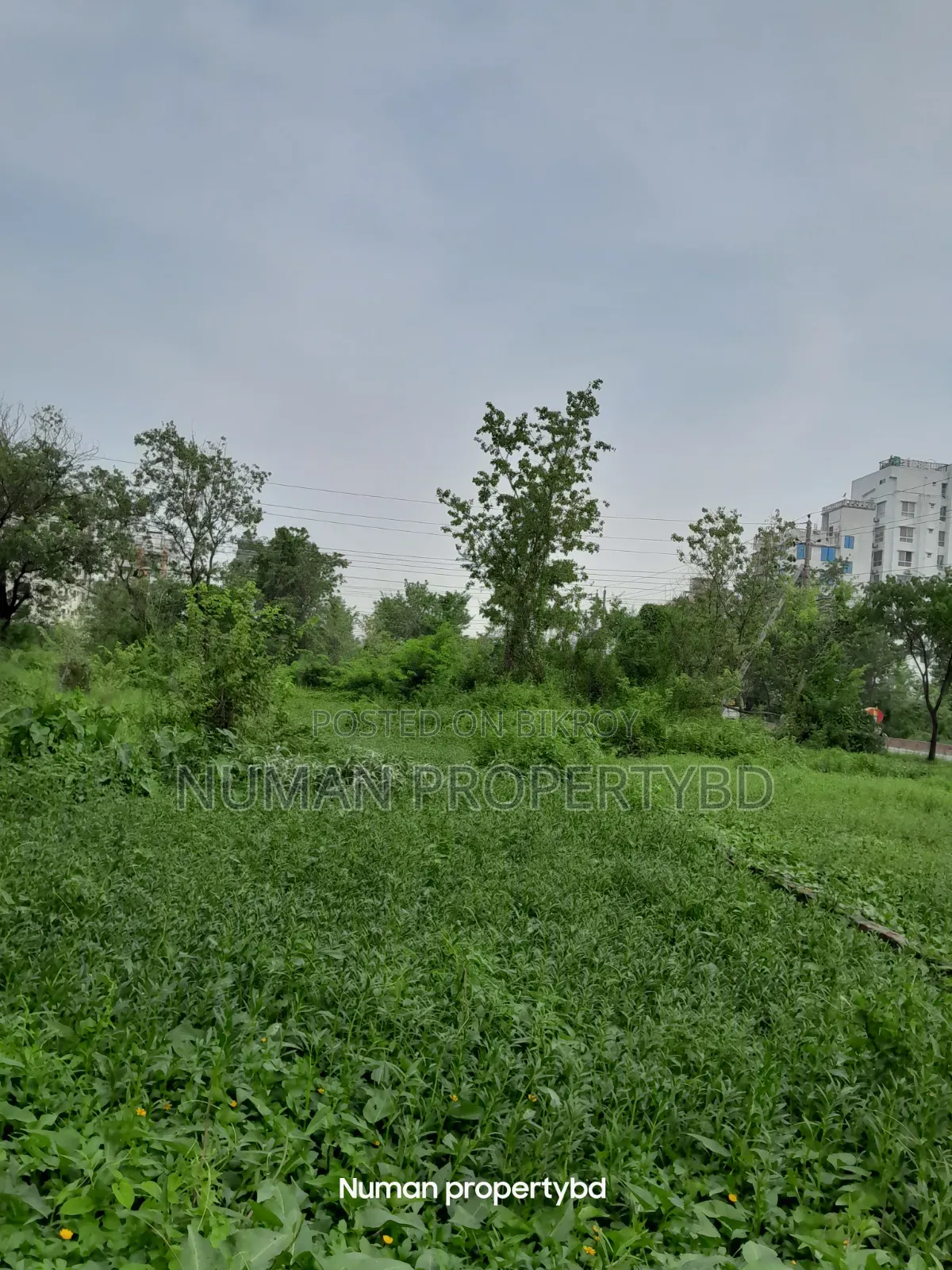 5 Katha South-facing Bashundhara Residential Area Plot for Sale