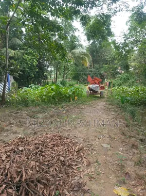জরুরি জমি বিক্রি | এখনই বাড়ি করার উপযোগী!
