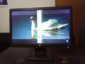 HP 19" Monitor with spot (Budget friendly, perfect for CCTV)