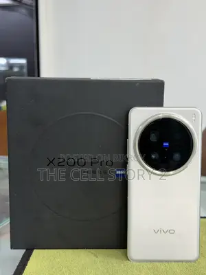Vivo X200 Pro 256 GB Gray