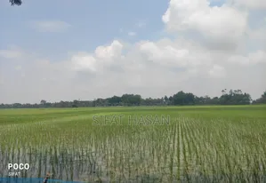 কৃষি জমি জমির পরিমাণ ৪৪ শতক