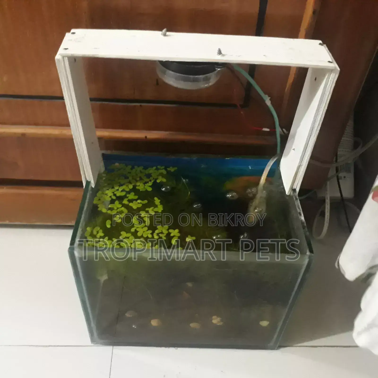 (New) Make Your Custom Light for Aquarium Home Delivary Available
