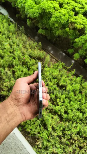 Apple iPhone 12 Pro Max 128 GB Blue