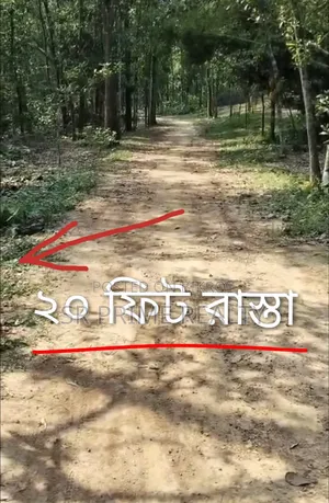 127 Decimal Land with Garden Beside 20 Feet Road - Kaliakair, Jathila