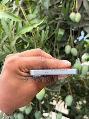 স্যামসাং এস২৫ এফই ডিসপ্লে সেল