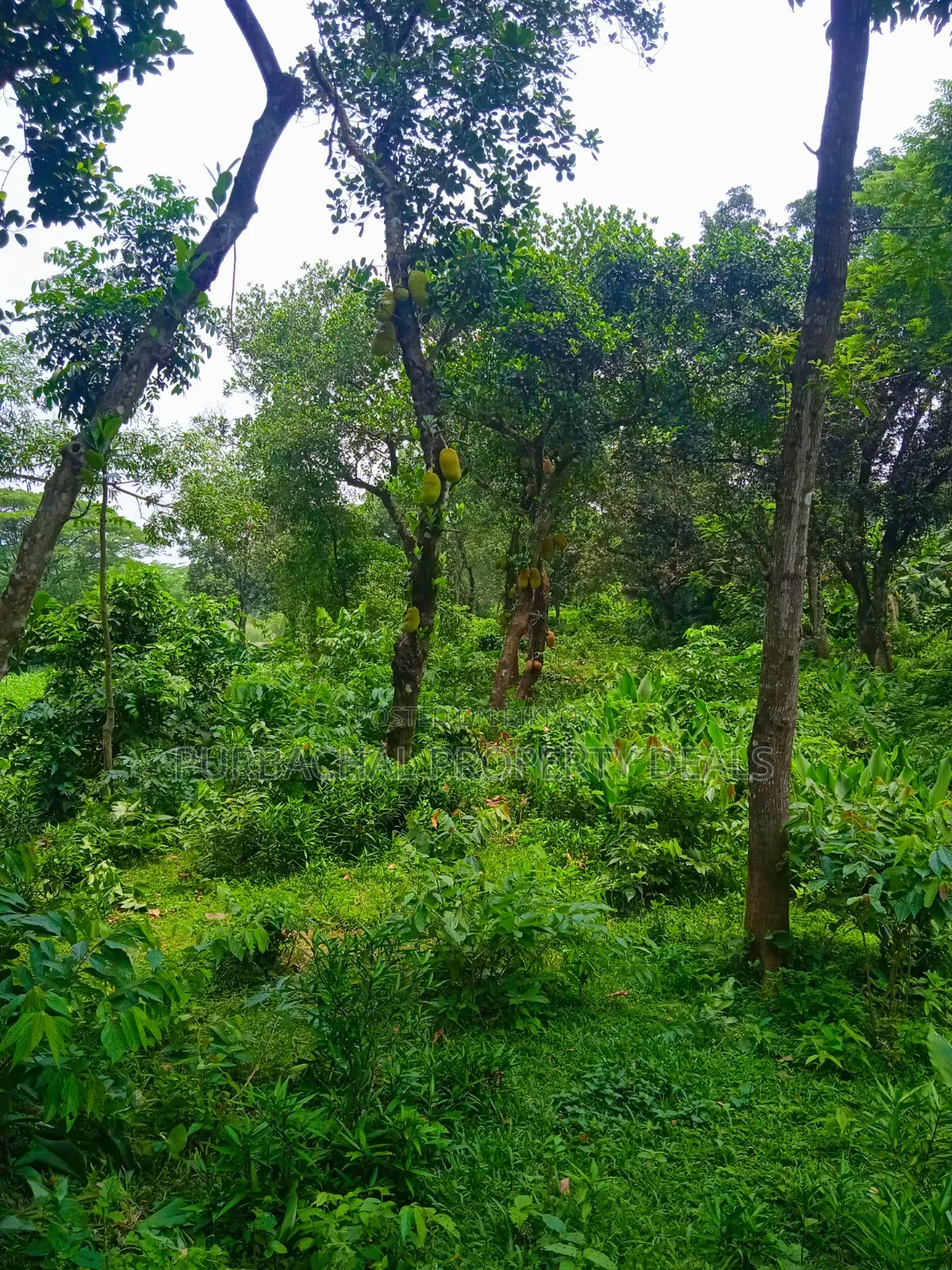 120 Decimal Premium Land for Sale Next to Bhuiyan Group Housing Project