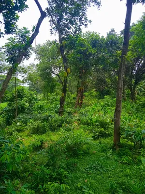 120 Decimal Premium Land for Sale Next to Bhuiyan Group Housing Project