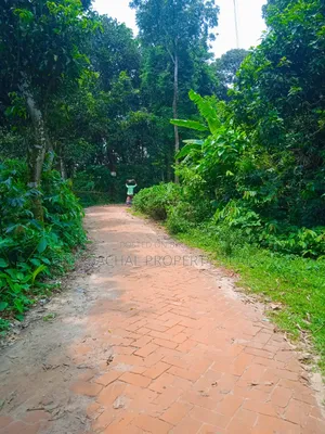 120 Decimal Premium Land for Sale Next to Bhuiyan Group Housing Project