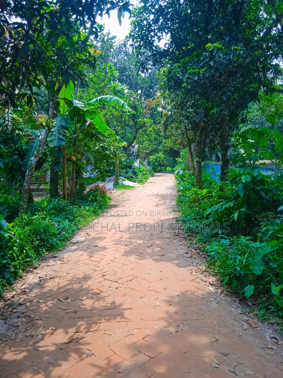 120 Decimal Premium Land for Sale Next to Bhuiyan Group Housing Project
