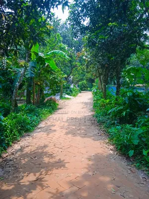 120 Decimal Premium Land for Sale Next to Bhuiyan Group Housing Project