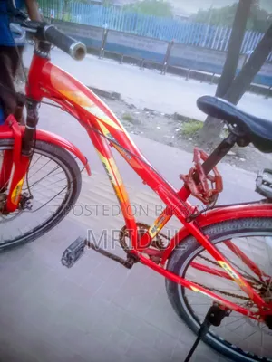 Running Cycle