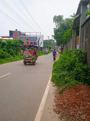 5 Bigha Land for Sale near Bhuiyan Group, Nagari Bazar, Kaliganj, Gazipur