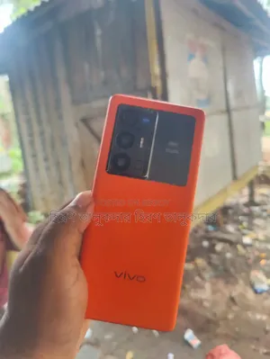 Vivo X70 Pro 512 GB