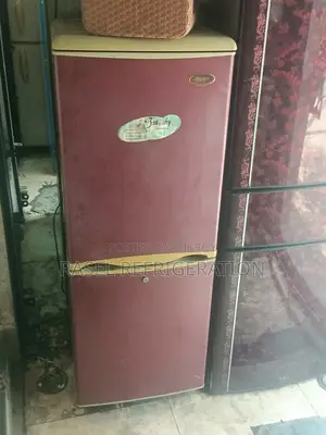 নীচে ডিপ 14 CFT রানিং Lg ফিরিজ বিক্রি করা হবে।