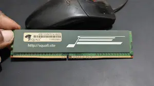 4GB DDR4 RAM PC4-19200 (Squall Brand) 2400MHz
