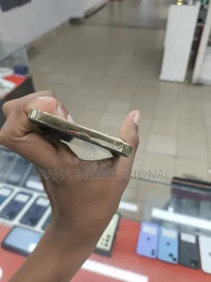 অ্যাপল আইফোন ১২ প্রো ম্যাক্স ১২৮ জিবি গোল্ড