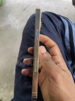 নতুন অ্যাপল আইফোন ১৪ প্রো ম্যাক্স ২৫৬ জিবি রোজ গোল্ড