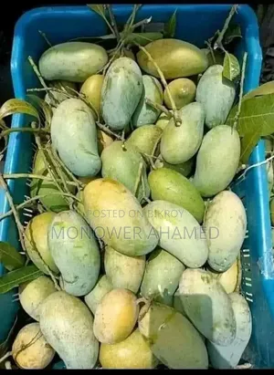 Amrapali Mangoes with Free Delivery